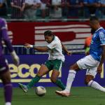 "Bahia vs Palmeiras" ব্রাজিলের Campeonato Brasileiro Série A-এর এক উত্তেজনাপূর্ণ ম্যাচ-