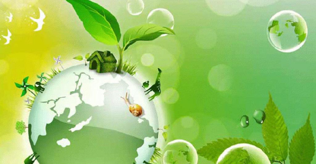 পরিবেশ রক্ষায় সবুজ উদ্যোগ গ্রহণ করছে দেশ