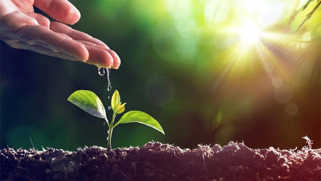 পরিবেশ সংরক্ষণ: আমাদের সম্মিলিত দায়িত্ব