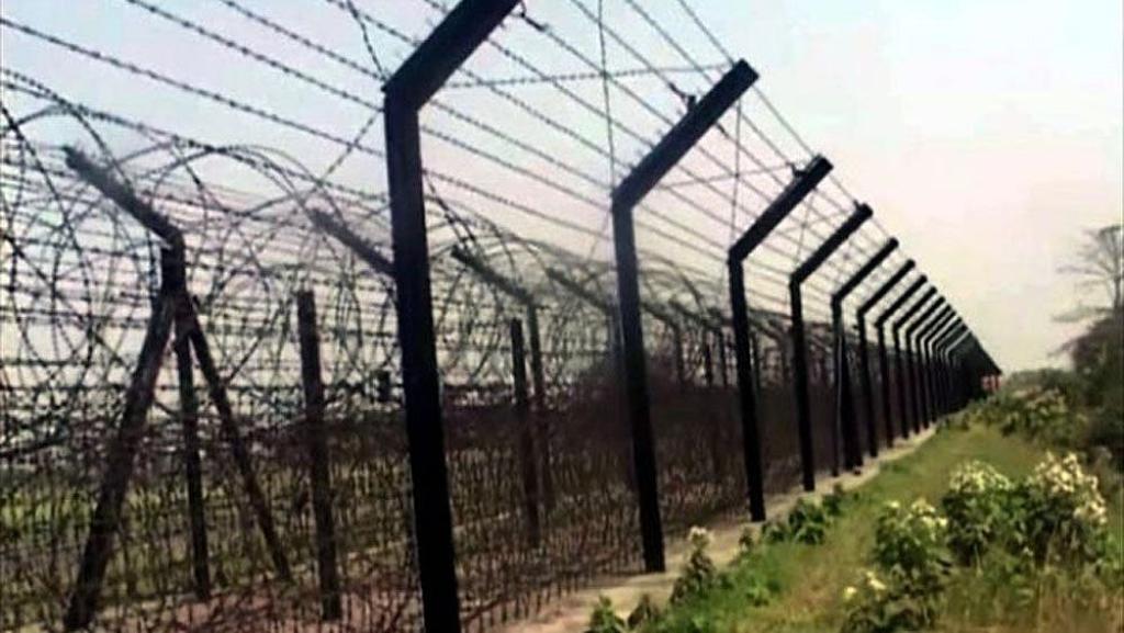 পোরশা সীমান্তে বিএসএফের পুশ ইনের চেষ্টা ব্যর্থ করেছে বিজিবি ও স্থানীয় জনতা