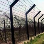পোরশা সীমান্তে বিএসএফের পুশ ইনের চেষ্টা ব্যর্থ করেছে বিজিবি ও স্থানীয় জনতা