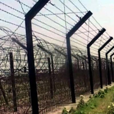 পোরশা সীমান্তে বিএসএফের পুশ ইনের চেষ্টা ব্যর্থ করেছে বিজিবি ও স্থানীয় জনতা