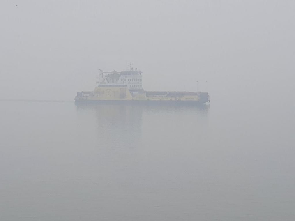 ঘন কুয়াশায় দৌলতদিয়া-পাটুরিয়া নৌপথে তিন ঘণ্টা ফেরি চলাচল বন্ধ