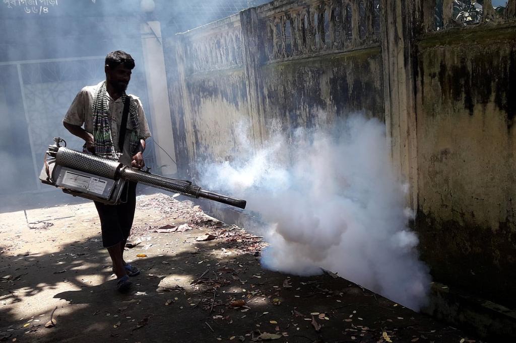 মৌসুমি ধারা বদলে যাচ্ছে ডেঙ্গুর, এখন কী করা জরুরি