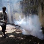 মৌসুমি ধারা বদলে যাচ্ছে ডেঙ্গুর, এখন কী করা জরুরি