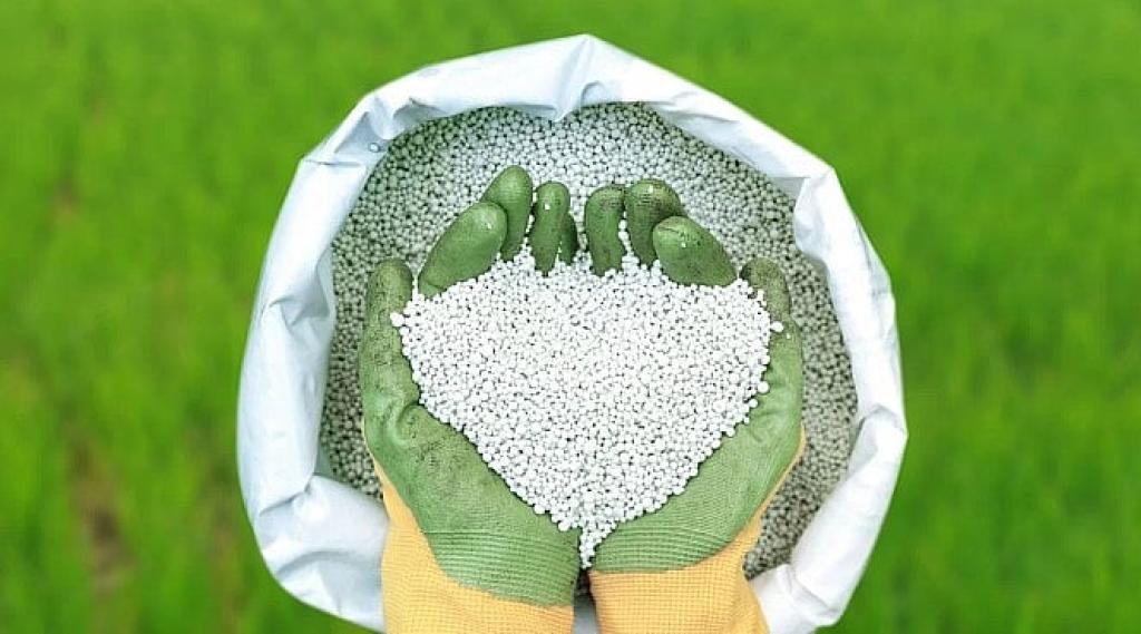 সার কিনতে নতুন উৎসের খোঁজ