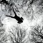 ব্রিটিশ ওয়াইল্ডলাইফ ফটোগ্রাফি অ্যাওয়ার্ডসের মজার ১০টি ছবি