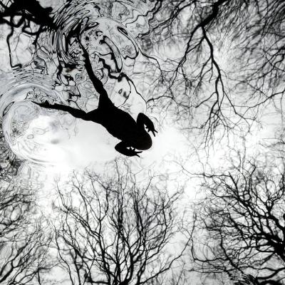 ব্রিটিশ ওয়াইল্ডলাইফ ফটোগ্রাফি অ্যাওয়ার্ডসের মজার ১০টি ছবি