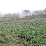 করতোয়ার প্রাণ ফেরাতে নতুন প্রকল্প নেওয়া হচ্ছে