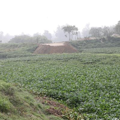করতোয়ার প্রাণ ফেরাতে নতুন প্রকল্প নেওয়া হচ্ছে