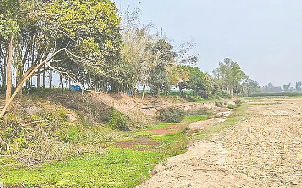 খাল খনন নয়, প্রয়োজন নদী পুনঃখনন