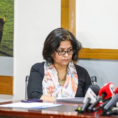 ঐকমত্য কমিশনকে কোনোভাবেই গণতান্ত্রিক প্রক্রিয়া বলা যায় না: সারা হোসেন