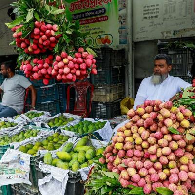 দিনে কয়টি লিচু খাওয়া নিরাপদ? উত্তরটা যত সহজ মনে হয়, আসলে ততটা নয়