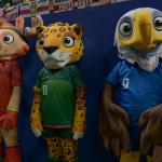 ফাইনালের আগে, মাঝে ও পরে যত আয়োজন
