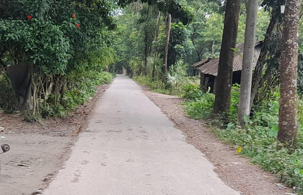 গ্রামের নাম ‘ধানের শিষ’, এমন অদ্ভুত নামকরণের পেছনে যে কাহিনি