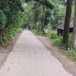 গ্রামের নাম ‘ধানের শিষ’, এমন অদ্ভুত নামকরণের পেছনে যে কাহিনি