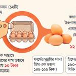 একটি ডিম প্রায় ১৫ টাকা, হালি ৫৫ টাকা